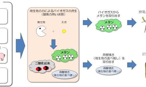 哺乳期拉肚子吃思密达 多久喂奶网 :分享哺乳期思密达宝妈吃多少-哺乳期吃思密达能喂奶么知识
